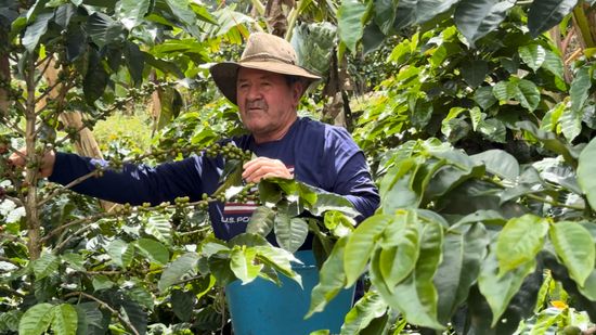  Dosquebradas se prepara para celebrar la Navidad sin quemados con pólvora
