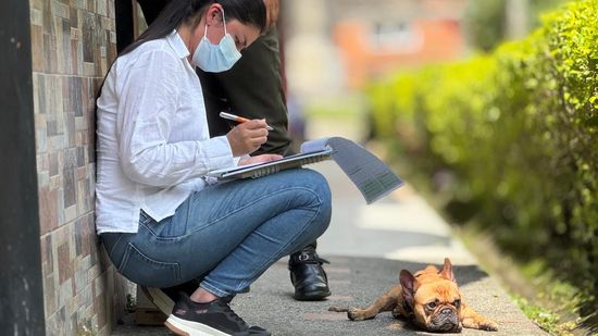 Alcaldía de Dosquebradas protege a cinco animales tras denuncia de presunto maltrato en Bosques de Milán