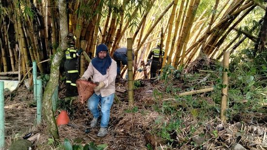 Con resiliencia y acción, Dosquebradas enfrenta la temporada de lluvias de enero
