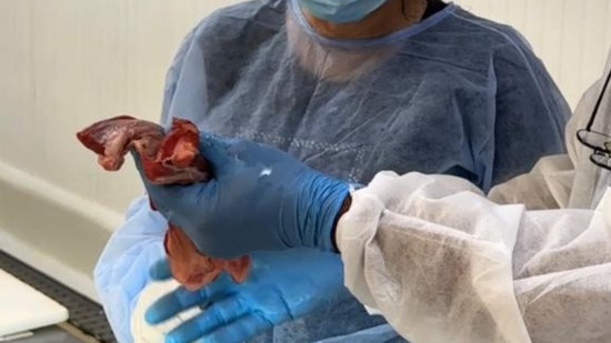 Dosquebradas ‘aprieta’ la vigilancia y desnaturaliza 154 kilos de productos cárnicos en enero